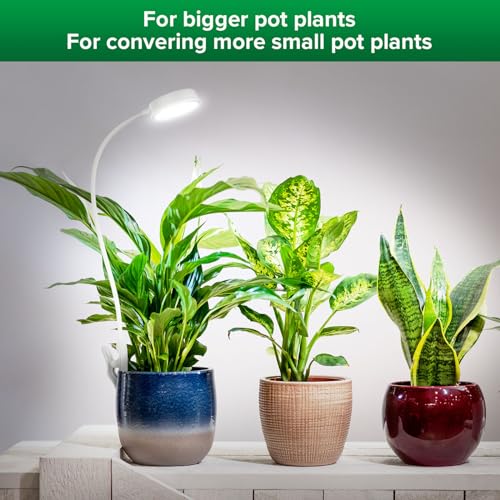 SANSI Grow Light for Indoor Plants, Clip-on LED Full Spectrum Plant Lamp with 4-Level Dimmer, Auto On/Off Timer (3/6/12 Hrs) - White, 10W 1-Pack - Image 5