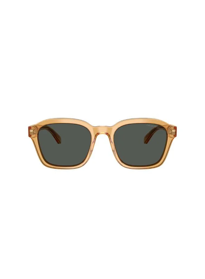 EMPORIO ARMANI 0Ea4245U Irregular Sunglasses