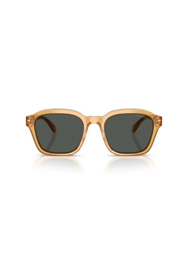 EMPORIO ARMANI  0Ea4245U Irregular Sunglasses for Men | Best Price UAE