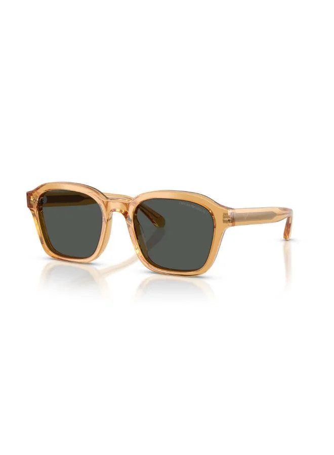 EMPORIO ARMANI  0Ea4245U Irregular Sunglasses for Men | Best Price UAE