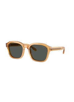 EMPORIO ARMANI 0Ea4245U Irregular Sunglasses  - Image 1