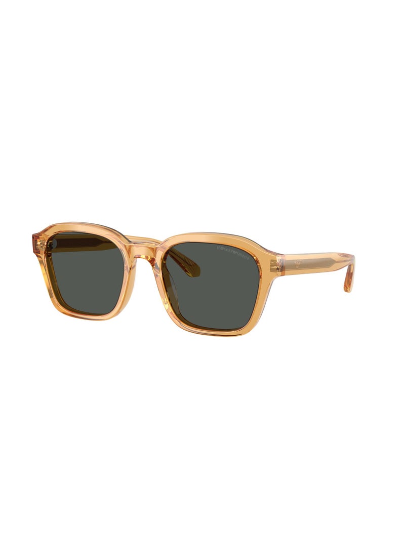 EMPORIO ARMANI 0Ea4245U Irregular Sunglasses  - Image 1