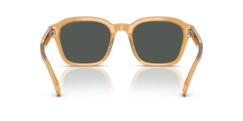 EMPORIO ARMANI 0Ea4245U Irregular Sunglasses