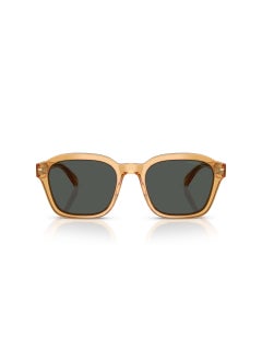 EMPORIO ARMANI 0Ea4245U Irregular Sunglasses  - Image 5