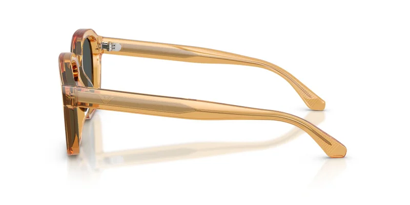 EMPORIO ARMANI 0Ea4245U Irregular Sunglasses