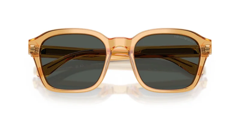 EMPORIO ARMANI 0Ea4245U Irregular Sunglasses