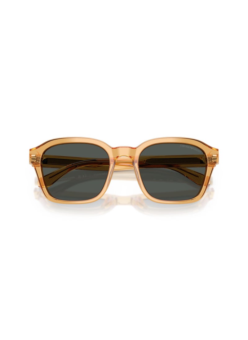 EMPORIO ARMANI 0Ea4245U Irregular Sunglasses  - Image 4