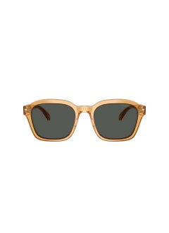 EMPORIO ARMANI 0Ea4245U Irregular Sunglasses  - Image 2