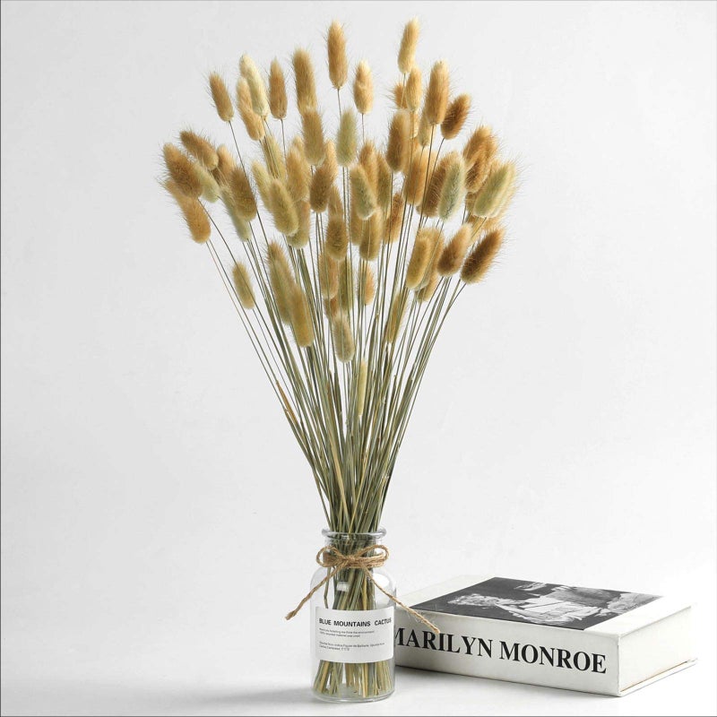 Jtoder Natural Dried Bunny Tail Grass  110120 Stems Lagurus Ovatus for Boho Decor Dried Pampas Grass Flower Arrangements Wedding Home Kitchen Office Decor 
