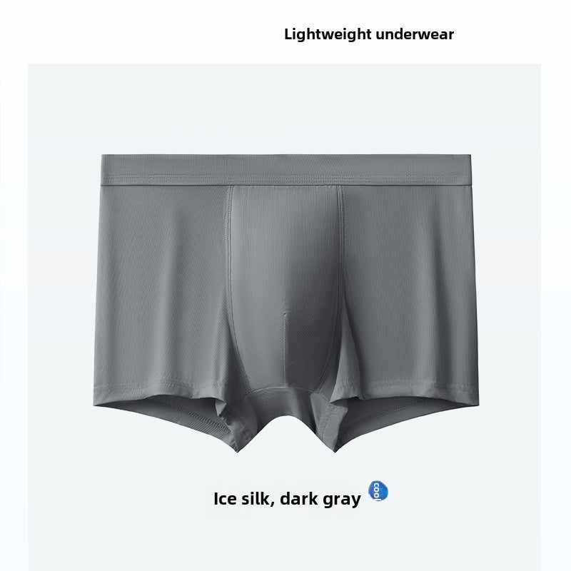 Mens Ice Silk Boxer Briefs Breathable Antimicrobial sky blue  - Image 2