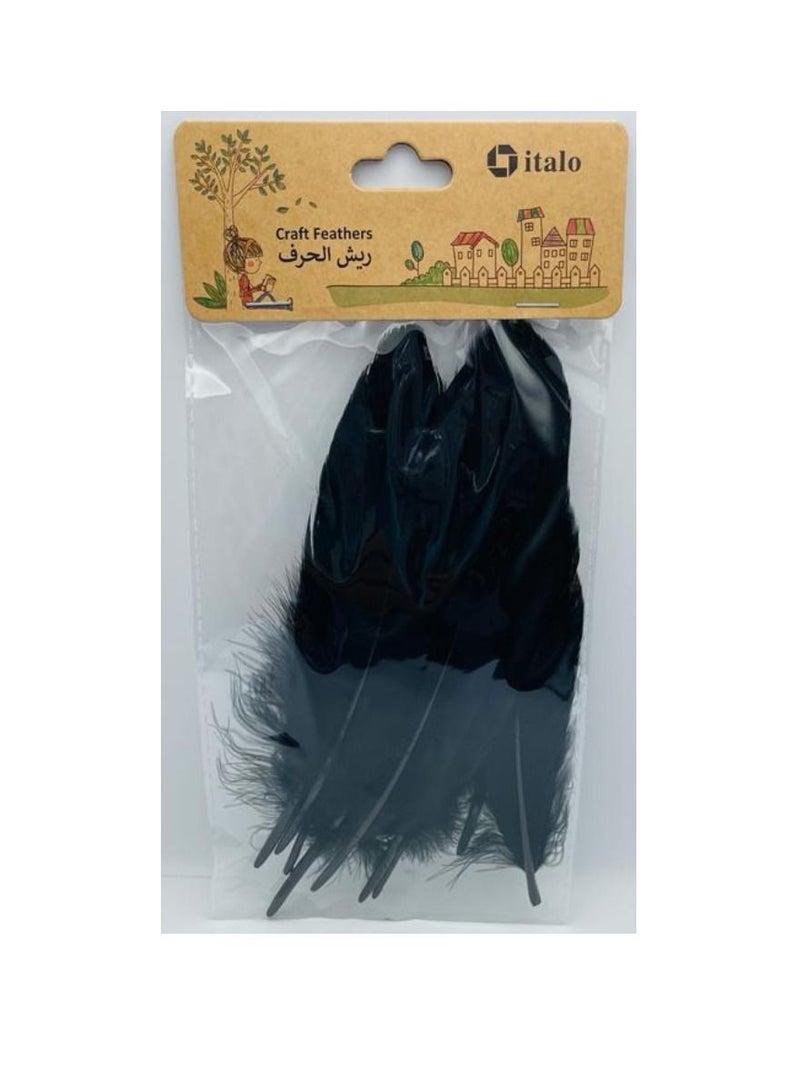 ITALO 11 Pcs Feathers Crafts Goose Feathers for DIY Earrings Craft For Home Wedding Baby Shower Decorations Black  - Image 1