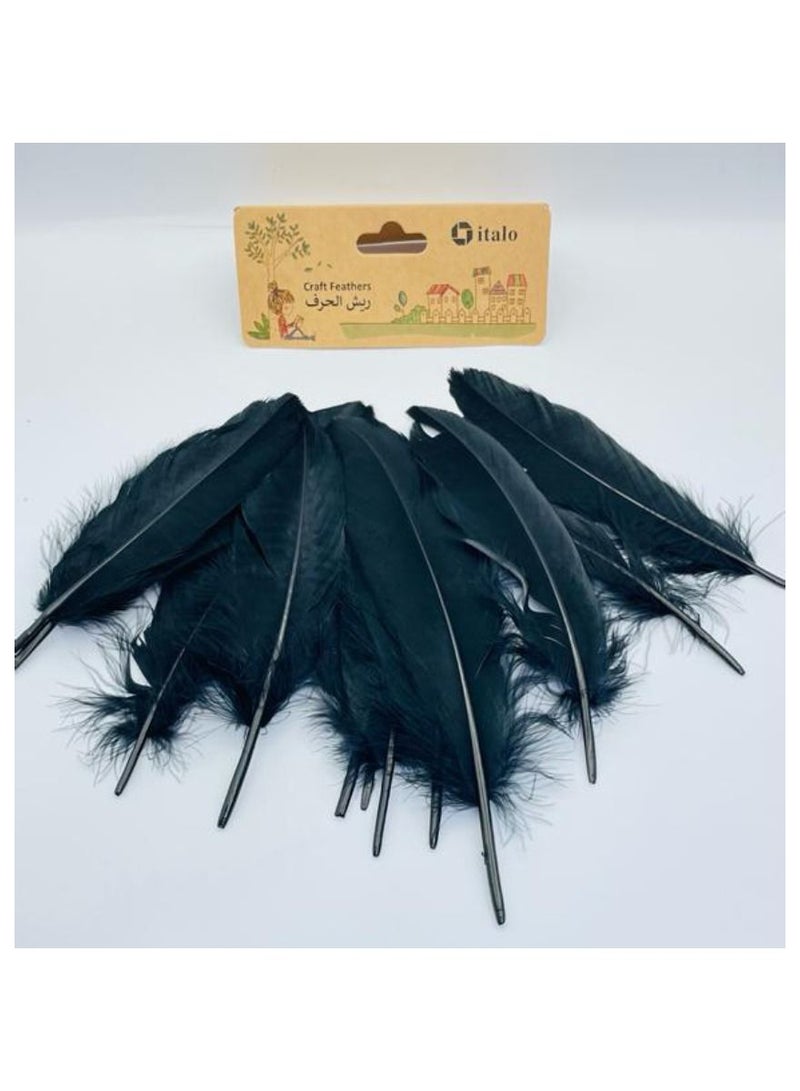 ITALO 11 Pcs Feathers Crafts Goose Feathers for DIY Earrings Craft For Home Wedding Baby Shower Decorations Black  - Image 3