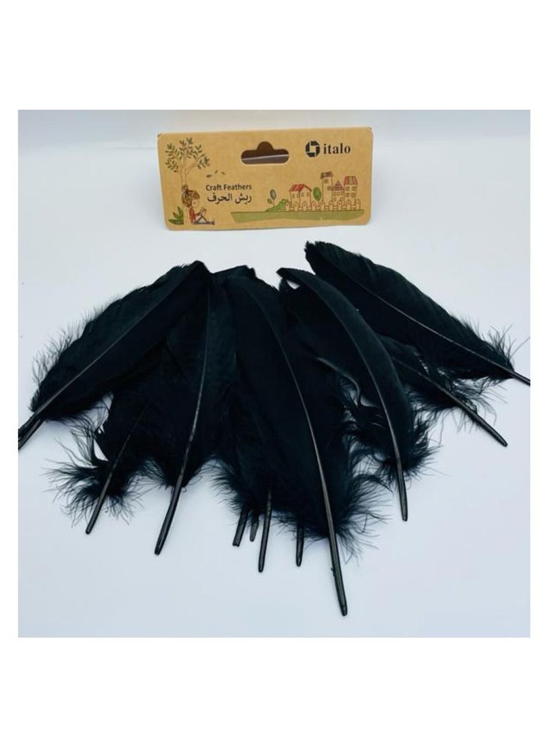 ITALO 11 Pcs Feathers Crafts Goose Feathers for DIY Earrings Craft For Home Wedding Baby Shower Decorations Black  - Image 4