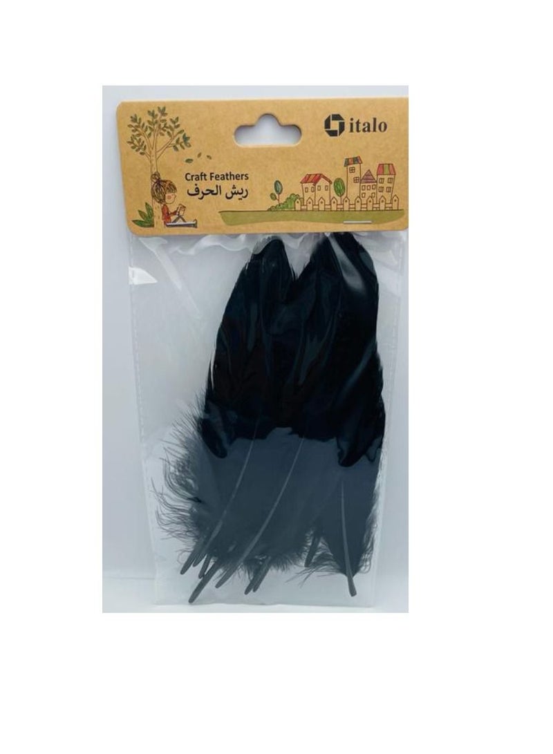 ITALO 11 Pcs Feathers Crafts Goose Feathers for DIY Earrings Craft For Home Wedding Baby Shower Decorations Black  - Image 2