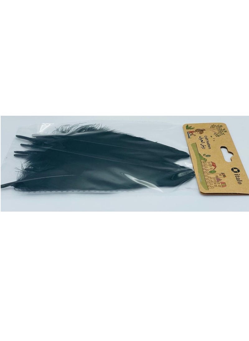 ITALO 11 Pcs Feathers Crafts Goose Feathers for DIY Earrings Craft For Home Wedding Baby Shower Decorations Black  - Image 5