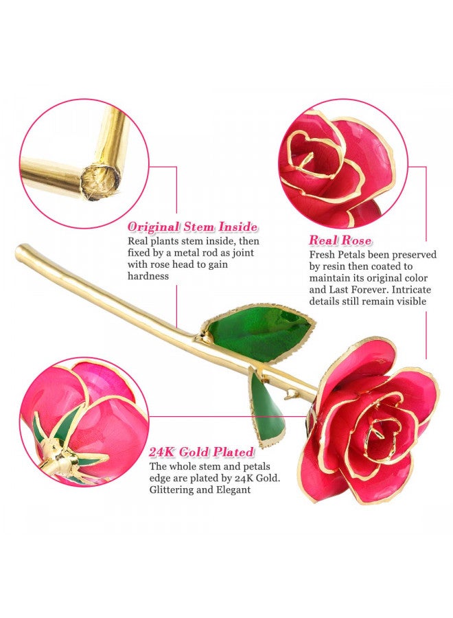 Ejoyous Ejoyous Gold Plated Rose, 24K Gold Dipped Real Rose Flower Lover Mom Wife Daughter Girl Friend, Present on Christmas, Mother's Day, Wedding Anniversary, Birthday, Proposal, Reward  - Image 1