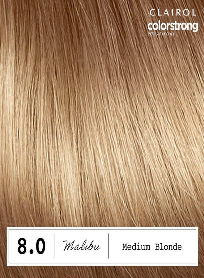 Clairol ColorStrong Permanent Zero Ammonia Hair Dye, 8.0 Medium Blonde - Malibu Hair Color, Pack of 1 - Image 3