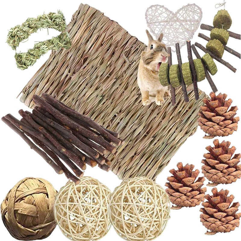 ANDES Bunny Hamsters Chew Toys Set Straw Woven Bed Mat Rabbit Pet Tooth Organic Natural Apple Wood Grass Cake Ideal for Chinchilla Guinea Pigs Syrian RatbirdsTeeth GrindingHmster Conejo22Pieces - Image 2