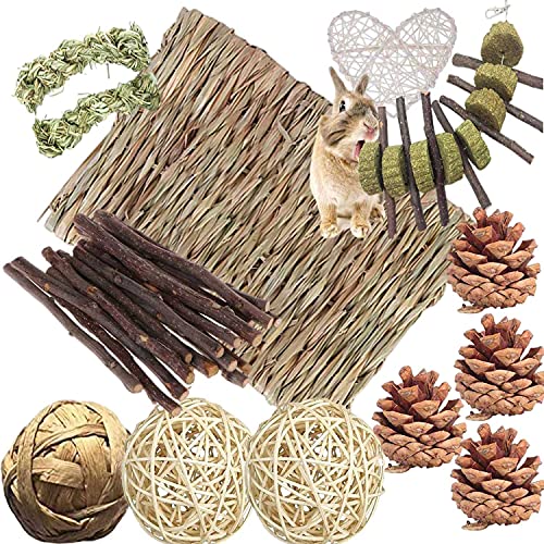 ANDES Bunny Hamsters Chew Toys Set Straw Woven Bed Mat Rabbit Pet Tooth Organic Natural Apple Wood Grass Cake Ideal for Chinchilla Guinea Pigs Syrian RatbirdsTeeth GrindingHmster Conejo22Pieces - Image 1