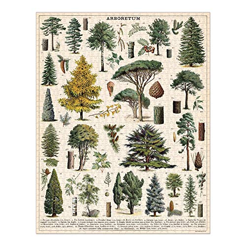 CAVANILLI & CO. Cavallini Papers & Co. Arboretum 1,000 Piece Puzzle, Multi - Image 1