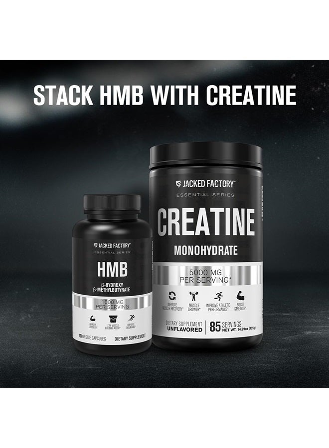 Jacked Factory Creatine Monohydrate Powder 150g - Creatine Supplement for Muscle Growth, Increased Strength, Enhanced Energy Output and Improved Athletic Performance 30 Servings, Unflavored - Image 5