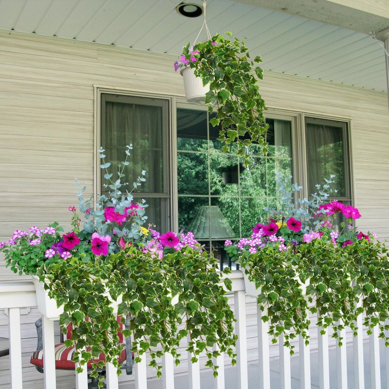 Hollyone 2pcs Artificial Hanging Plants 24" Fake Ivy Vine Faux Ivy Leaves Hanging Plant Greenery for Wall House Room Patio Indoor Outdoor Home Shelf Office Wedding Decor - Image 5