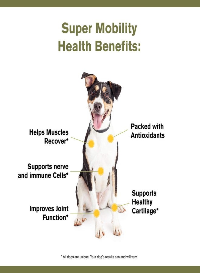 Badlands Ranch by Katherine Heigl- Super Mobility Canine Supplement Organic Ingredients Helps Maintain Healthy Cartilage, Optimal Joint Function (90 Grams, 30 Scoops) - Image 5