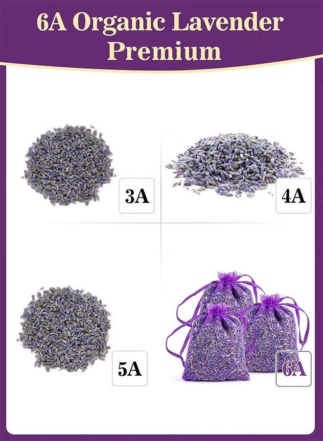 أوربازار أكياس اللافندر الفرنسية المكونة من 12 قطعة للأدراج والخزائن ذات الروائح المنعشة، أكياس معطرة للمنزل للخزائن والأدراج، تعمل على تحسين جودة النوم وإزالة الروائح بشكل فعال - Image 4