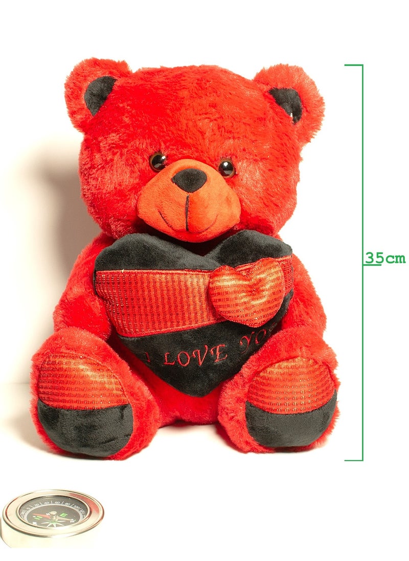 RED Teddy Bear With Heart Plush Toy 35cm for Ages 3+ Years - pzsku/ZD76B2F35112FAF39A044Z/45/_/1728382548/d6d53b1b-7c9b-4d8b-a4ca-5bade25d6d0a