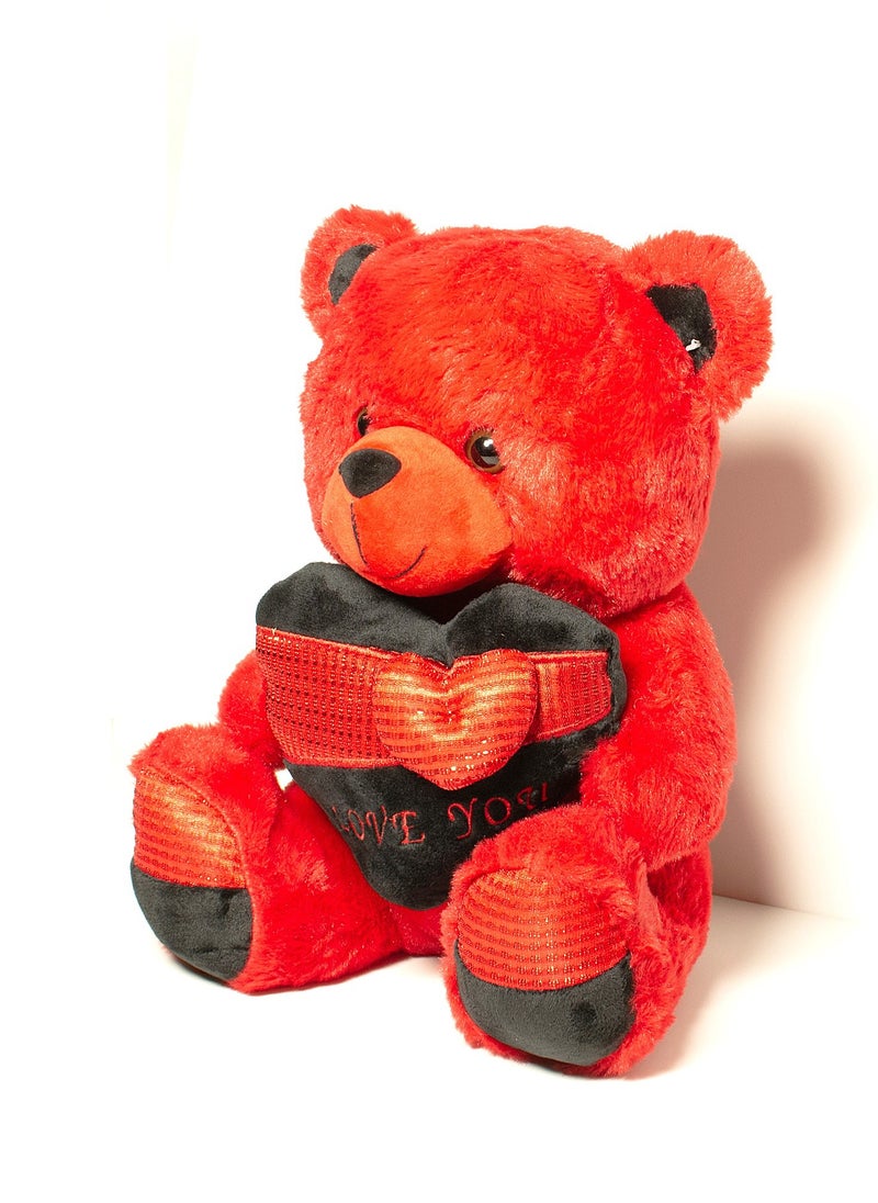 RED Teddy Bear With Heart Plush Toy 35cm for Ages 3+ Years - pzsku/ZD76B2F35112FAF39A044Z/45/_/1728382574/7502f48e-bf98-4582-9ca8-c41018fac7d8