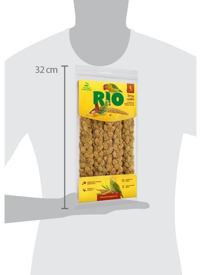 RIO Spray Millet Natural Treat for All Birds 100g Standard - Image 2