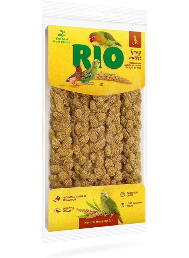 RIO Spray Millet Natural Treat for All Birds 100g Standard - Image 1