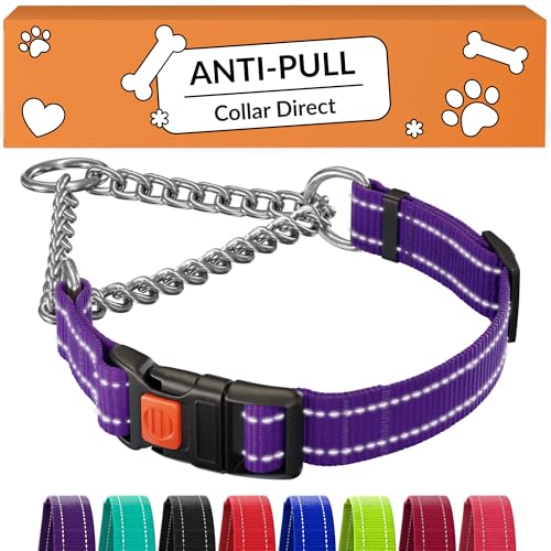 CollarDirect Martingale Dog Collar with Stainless Steel Chain and Quick Release Buckle - Reflective Collar for Large, Medium, Small Dogs - Purple, Medium (Neck Size 14"-17") - Image 1