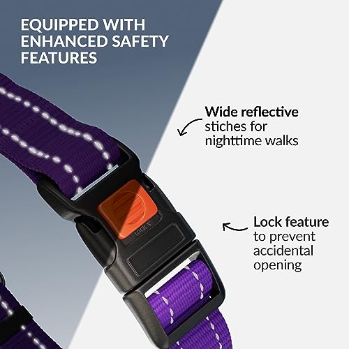 CollarDirect Martingale Dog Collar with Stainless Steel Chain and Quick Release Buckle - Reflective Collar for Large, Medium, Small Dogs - Purple, Medium (Neck Size 14"-17") - Image 3