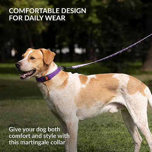 CollarDirect Martingale Dog Collar with Stainless Steel Chain and Quick Release Buckle - Reflective Collar for Large, Medium, Small Dogs - Purple, Medium (Neck Size 14"-17") - Image 5