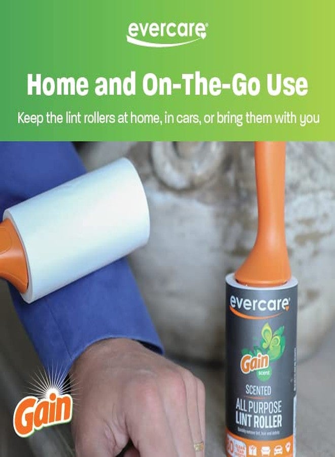 Evercare Gain Scented All-Purpose Lint Roller Value Pack with 2 Lint Rollers and 3 Refill Rolls, 60 Sheets Each - Image 5