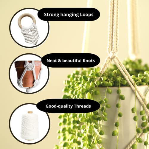 Zippy Flora Macrame Plant Hanger for Home/Garden/Balcony (Off-white Lily Hanger) - Image 4