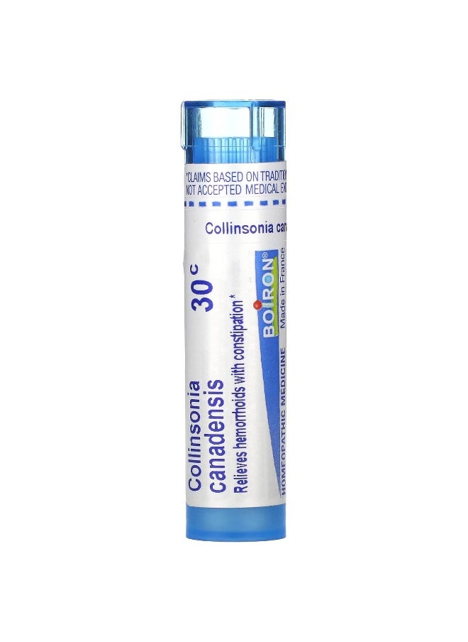 Boiron Boiron, Collinsonia Canadensis, 30C, Hemorrhoid Relief, Approx 80 Pellets  - Image 1