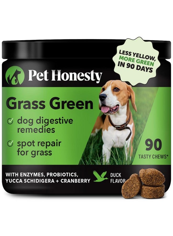 Pet Honesty Grass Green Dog Chews - Urine Neutralizer for Lawn, Dog Pee ... - Green Dog Grooming Products For Grass Allergies