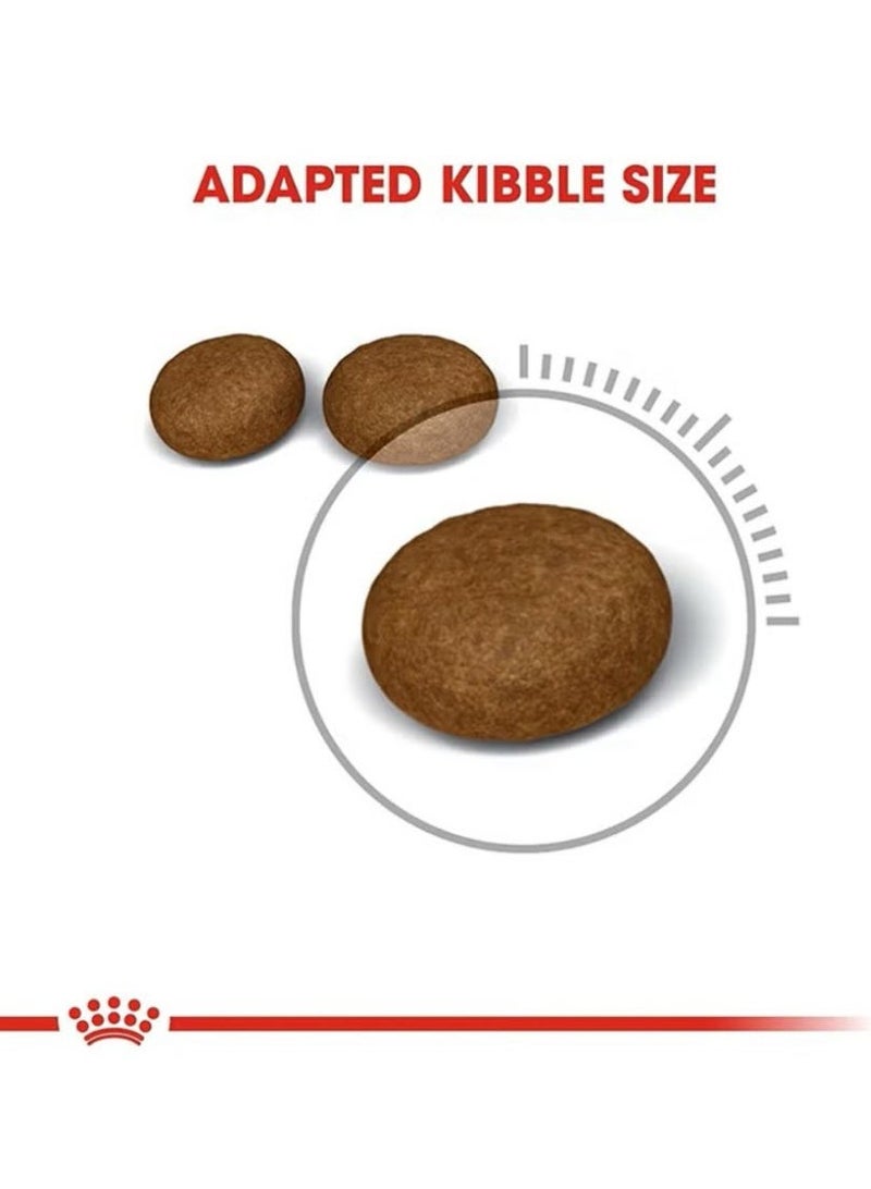 رويال كانين طعام للعناية بشعر وبشرة القطط، 10 كجم - Image 2