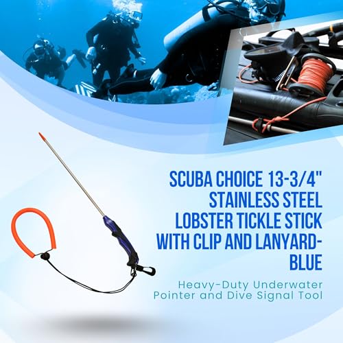 Scuba Choice Lobster Tickle Stick – Stainless Steel Diving Tool with Molded Grip, Swivel Hook & Lanyard – Perfect for Lobster Hunting & Spearfishing – 13-3/4" Length, 6.3mm Diameter (Blue) - Image 5