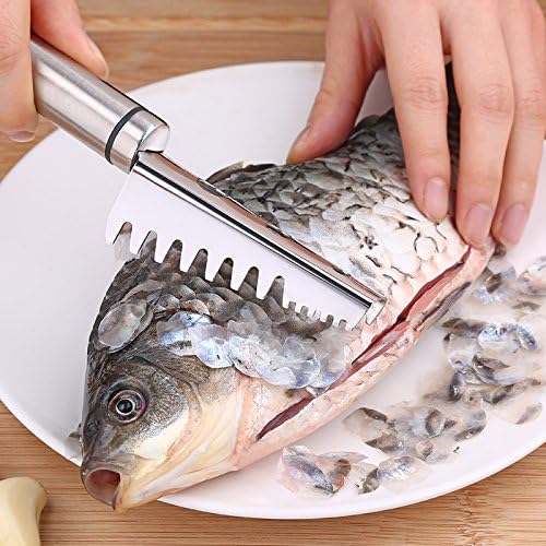 ABTER Fish Scale Remover Tool - 304 Stainless Steel Fish Scales Scraper with Sawtooth Blade for Fast and Easy Peeling - Silver Descaling Tool for Kitchen Use  - Image 1
