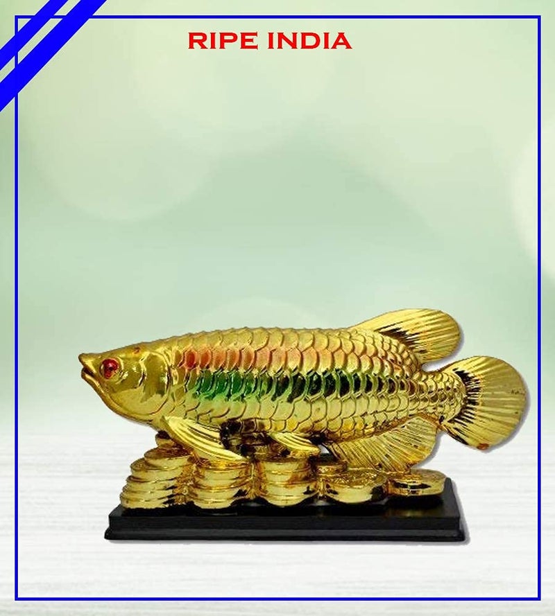 RIPE INDIA® Feng Shui Arowana Fish On Lucky Coins in Golden Color for Prosperity and Luck - Image 4
