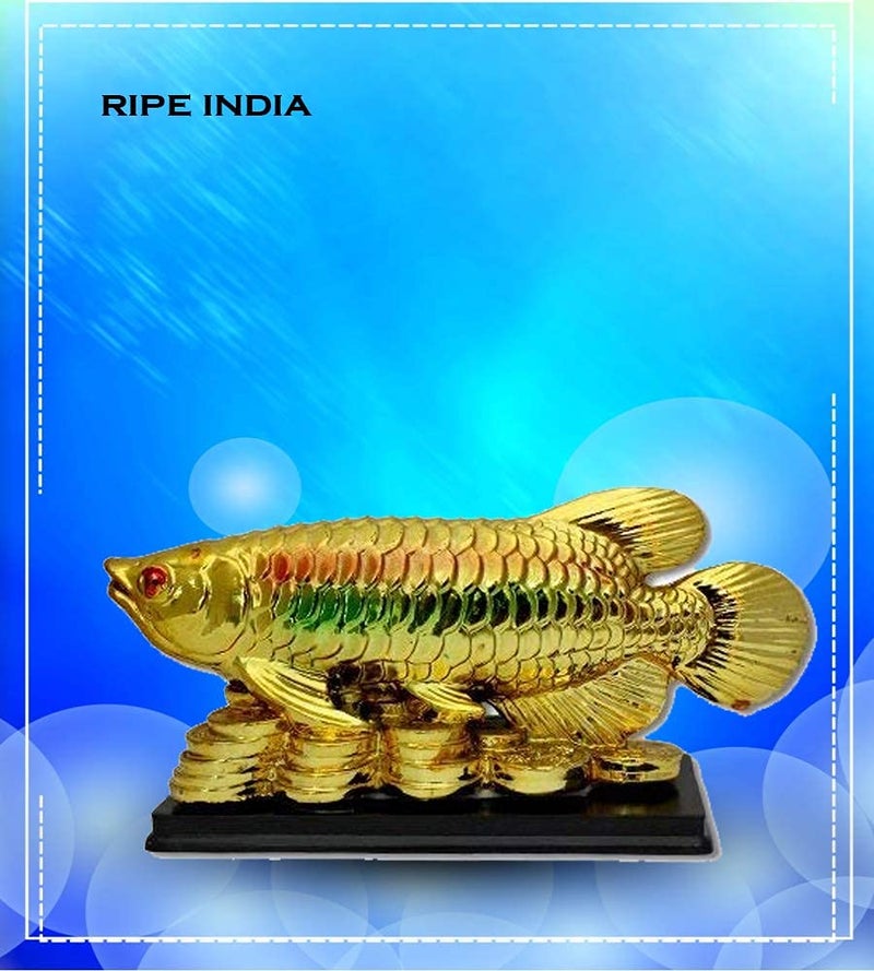 RIPE INDIA® Feng Shui Arowana Fish On Lucky Coins in Golden Color for Prosperity and Luck - Image 3