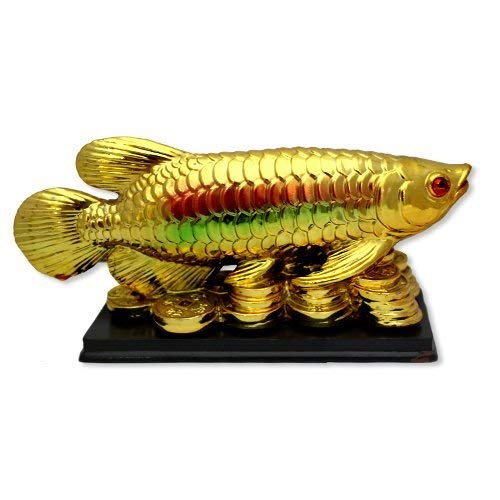 RIPE INDIA® Feng Shui Arowana Fish On Lucky Coins in Golden Color for Prosperity and Luck - Image 1