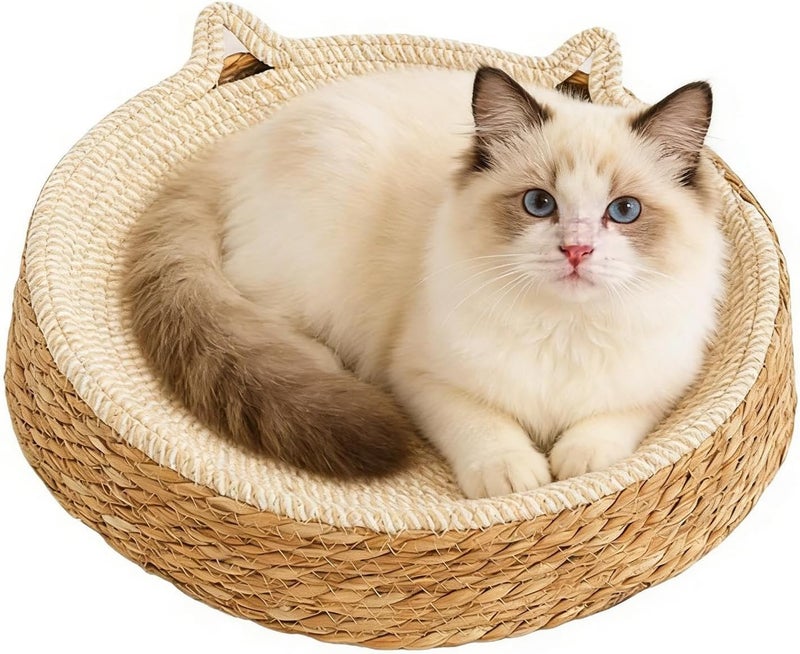 Wide range expanded design Genérico Scratching Post for Cats | Breathable Base, Cat Bed with Kitten Ears Design and Cotton Rope – for Furniture Protection, Nail Cutting, Paws Care and Standard fit - Image 1