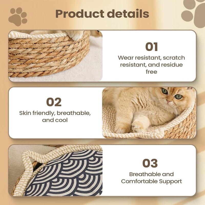 Wide range expanded design Genérico Scratching Post for Cats | Breathable Base, Cat Bed with Kitten Ears Design and Cotton Rope – for Furniture Protection, Nail Cutting, Paws Care and Standard fit - Image 5