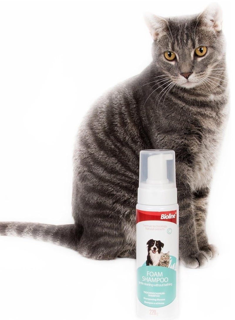 بايولاين شامبو رغوي للحيوانات الأليفة الجافة 220 جرام - Image 3