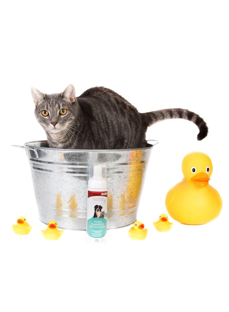 بايولاين شامبو رغوي للحيوانات الأليفة الجافة 220 جرام - Image 4