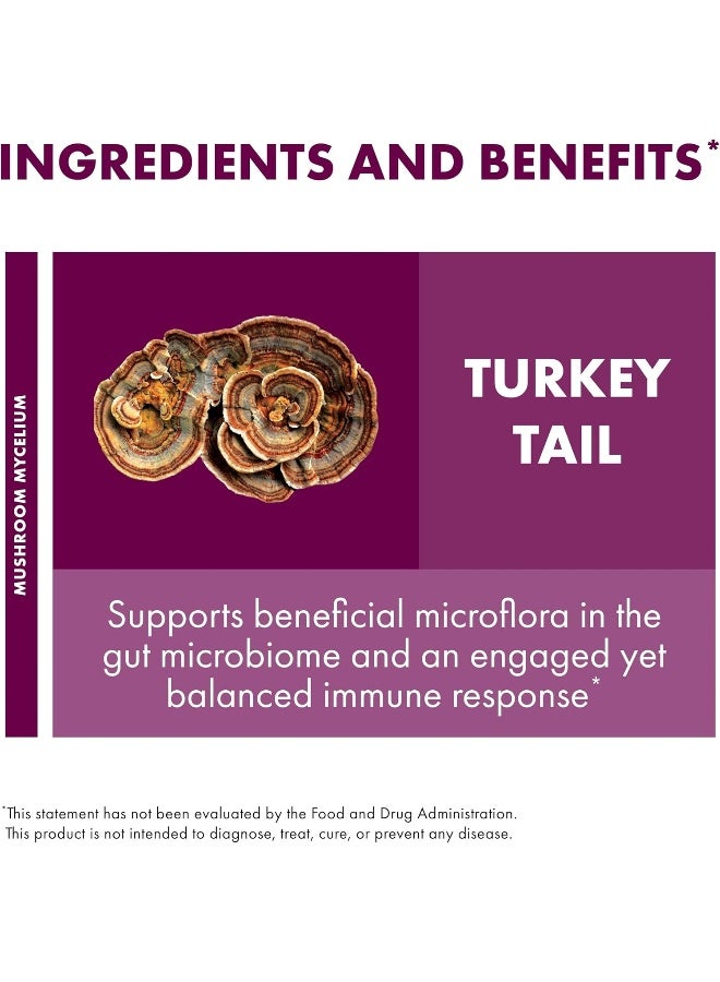 Host Defense Fungi Perfecti Host Defense Turkey Tail Cellular Support - Image 4